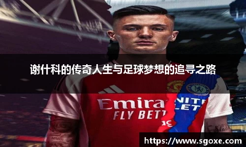谢什科的传奇人生与足球梦想的追寻之路
