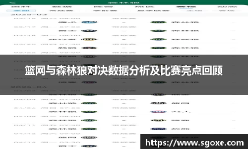 篮网与森林狼对决数据分析及比赛亮点回顾