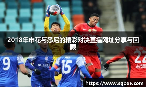 2018年申花与悉尼的精彩对决直播网址分享与回顾