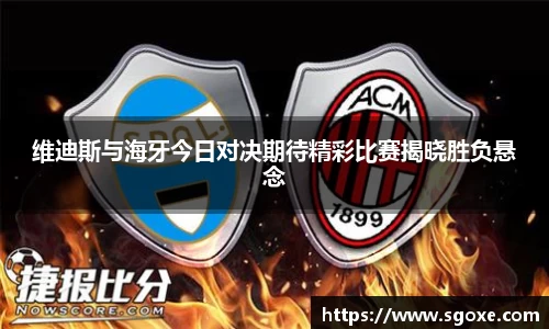 维迪斯与海牙今日对决期待精彩比赛揭晓胜负悬念