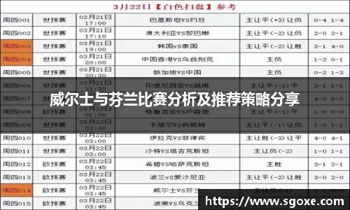 威尔士与芬兰比赛分析及推荐策略分享