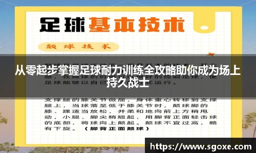 从零起步掌握足球耐力训练全攻略助你成为场上持久战士