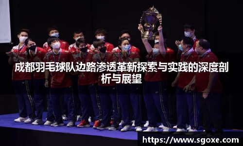 成都羽毛球队边路渗透革新探索与实践的深度剖析与展望
