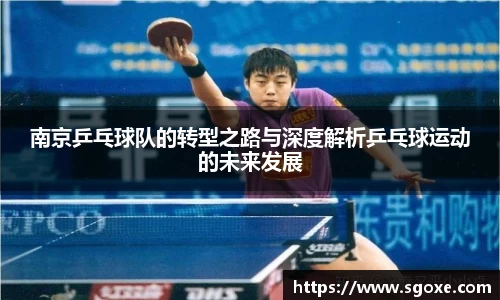 南京乒乓球队的转型之路与深度解析乒乓球运动的未来发展