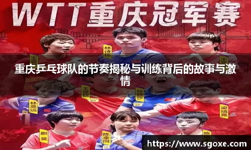 重庆乒乓球队的节奏揭秘与训练背后的故事与激情