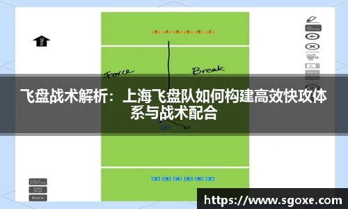 飞盘战术解析：上海飞盘队如何构建高效快攻体系与战术配合